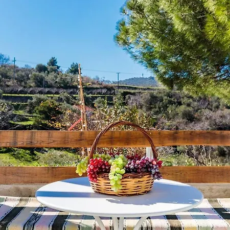 Villa Ambeli Skopelos Town