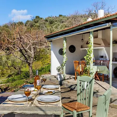 Villa Ambeli Skopelos Town
