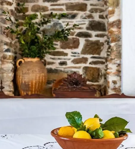 Villa Ambeli Skopelos Town